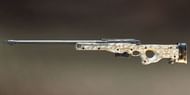 AWM (Picture Courtesy: zilliongamer.com)
